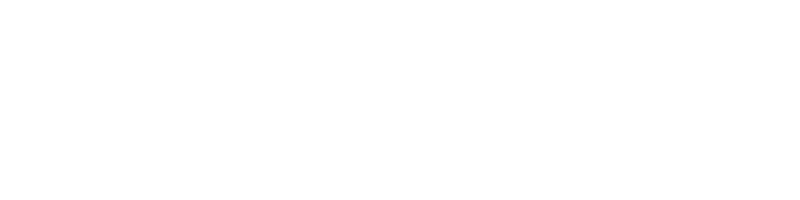 Diedom logo